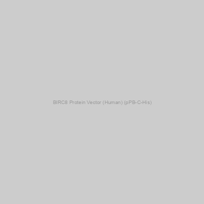 BIRC8 Protein Vector (Human) (pPB-C-His)